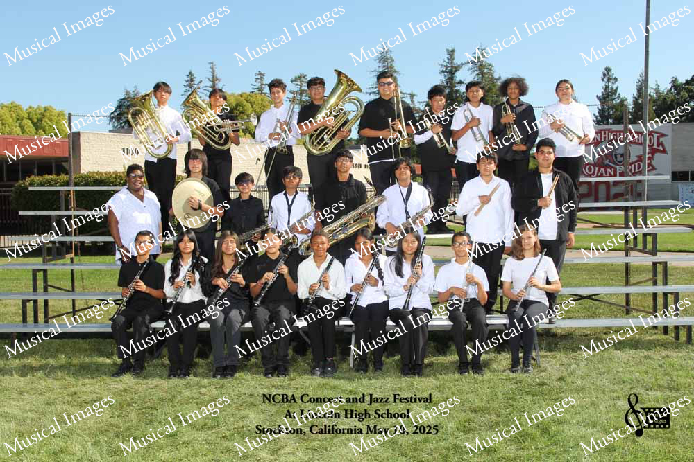 Musical Images